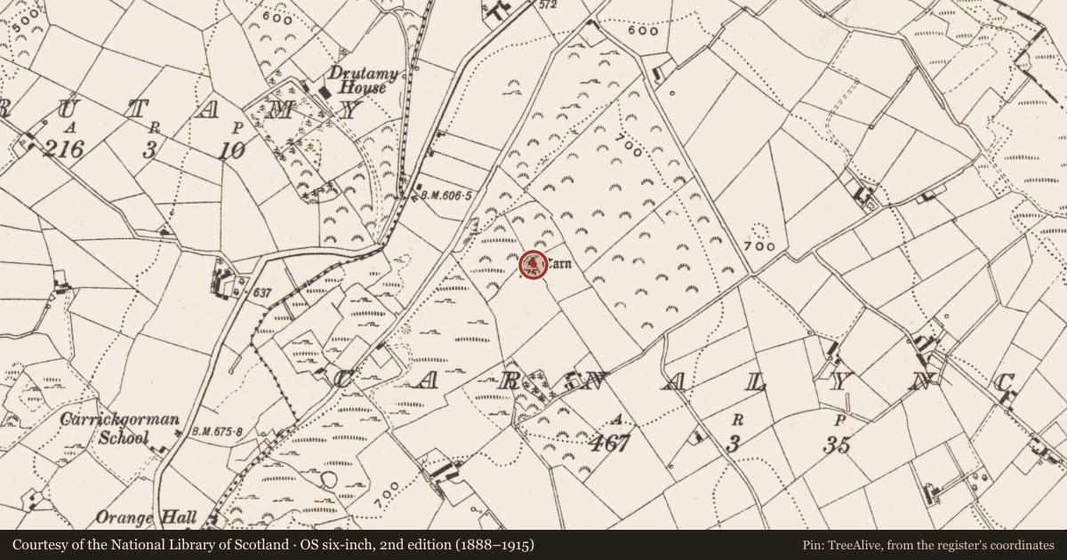 Ordnance Survey six-inch map, 2nd edition (1888–1915) covering the location of Cairn - unclassified, Carnalynch, County Cavan, with a pin at the register's coordinates