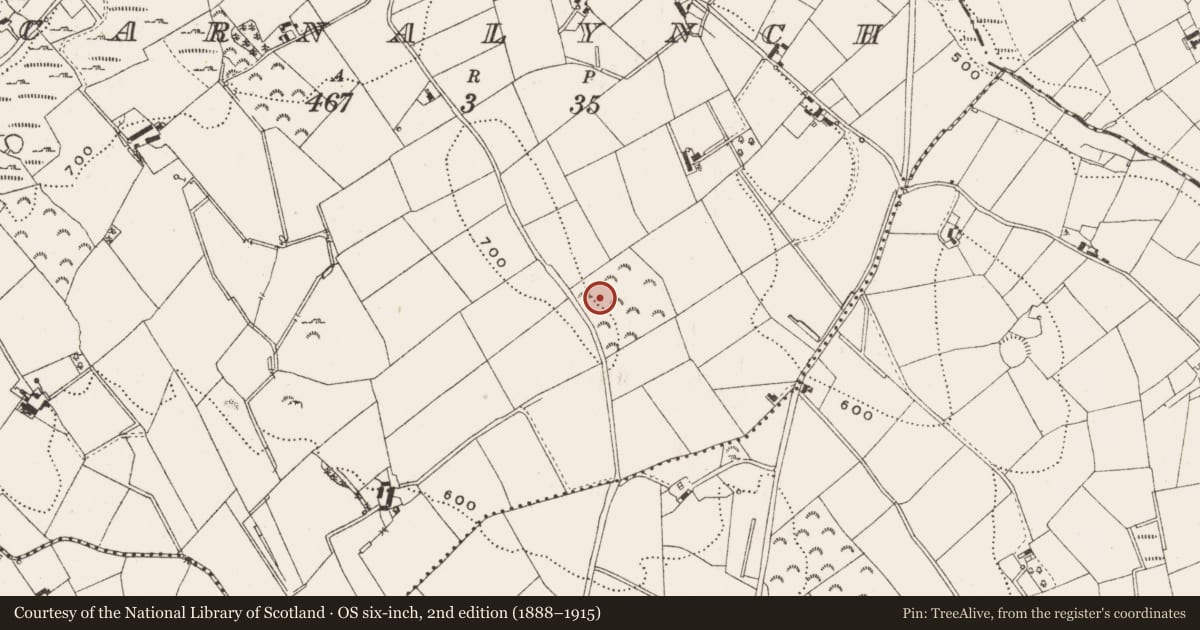 Ordnance Survey six-inch map, 2nd edition (1888–1915) covering the location of Cairn - unclassified, Carnalynch, County Cavan, with a pin at the register's coordinates
