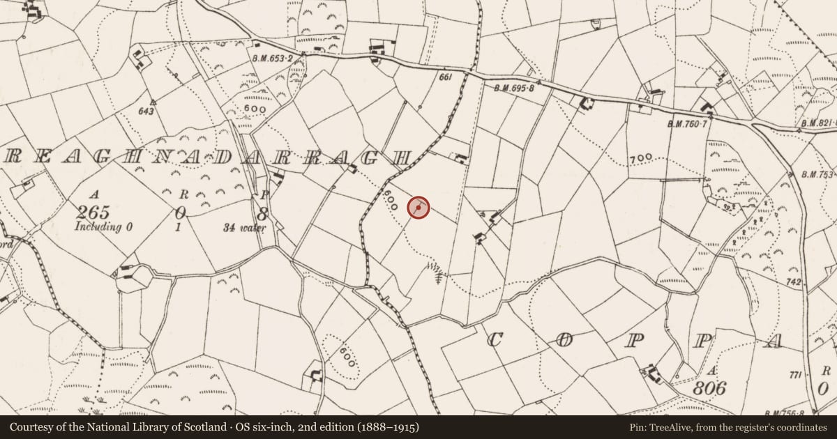 Ordnance Survey six-inch map, 2nd edition (1888–1915) covering the location of Standing stone, Coppanagh, County Cavan, with a pin at the register's coordinates