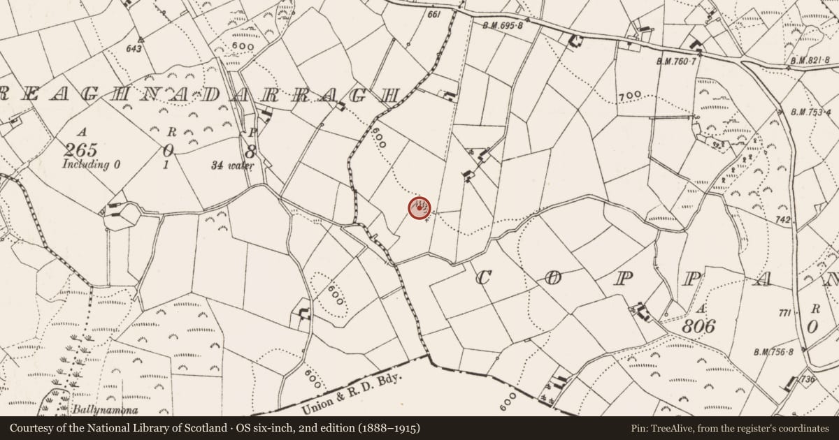 Ordnance Survey six-inch map, 2nd edition (1888–1915) covering the location of Ringfort - rath, Coppanagh, County Cavan, with a pin at the register's coordinates