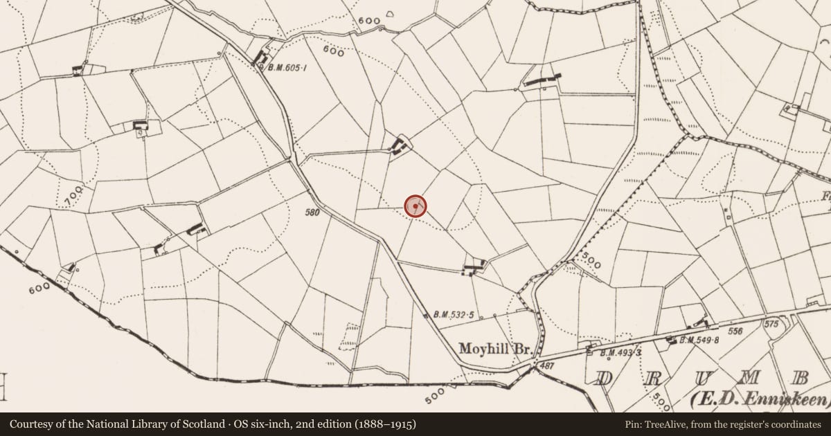 Ordnance Survey six-inch map, 2nd edition (1888–1915) covering the location of Ringfort - rath, Coppanagh, County Cavan, with a pin at the register's coordinates