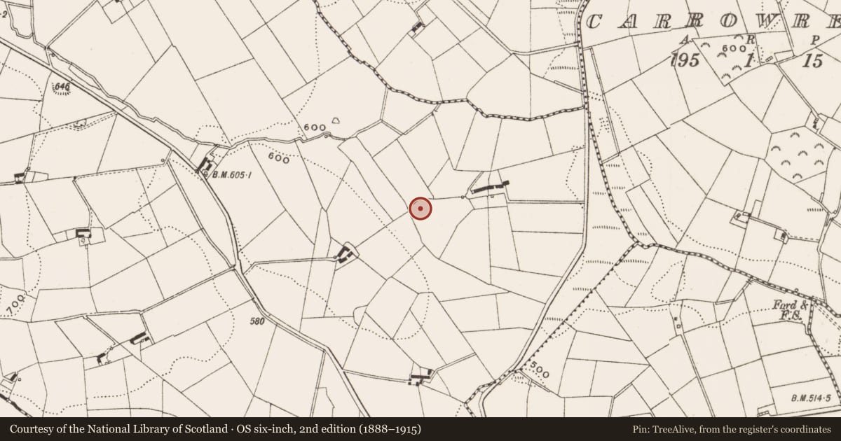 Ordnance Survey six-inch map, 2nd edition (1888–1915) covering the location of Ringfort - rath, Coppanagh, County Cavan, with a pin at the register's coordinates