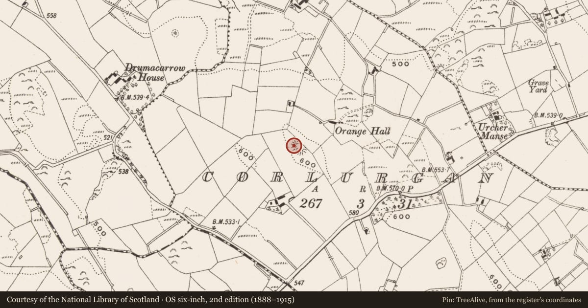 Ordnance Survey six-inch map, 2nd edition (1888–1915) covering the location of Ringfort - rath, Corlurgan, County Cavan, with a pin at the register's coordinates