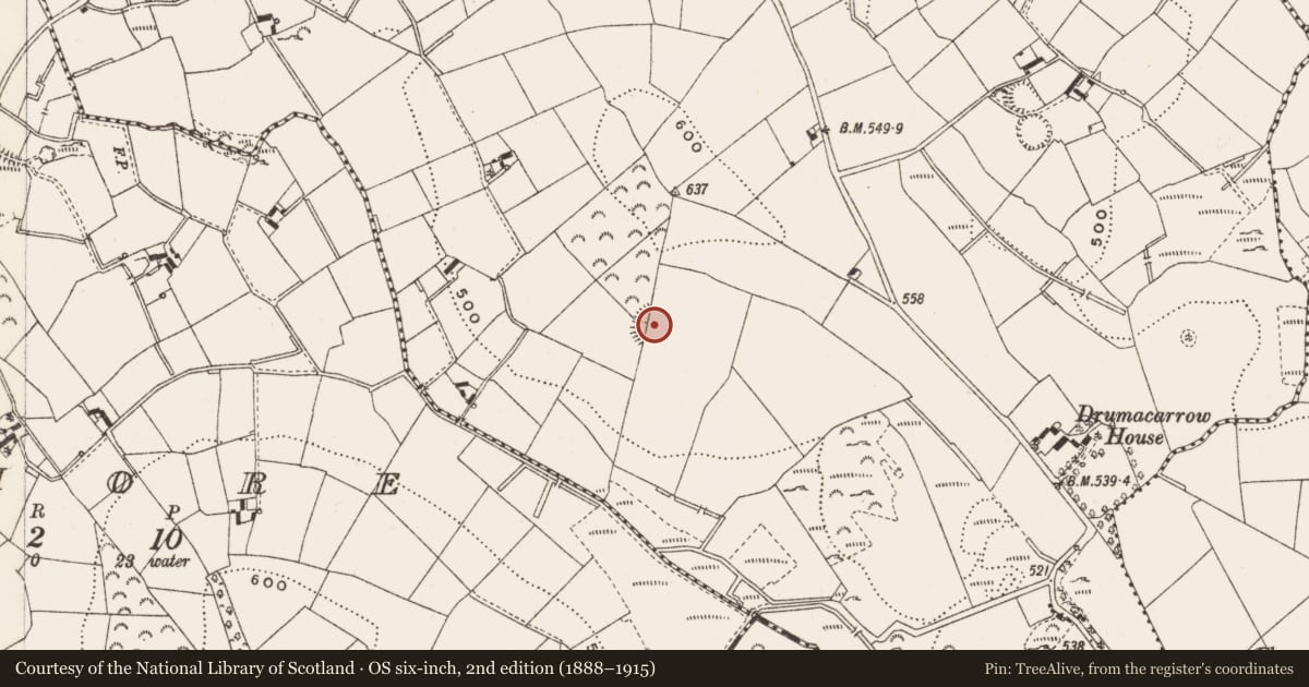 Ordnance Survey six-inch map, 2nd edition (1888–1915) covering the location of Ringfort - rath, Drumacarrow, County Cavan, with a pin at the register's coordinates