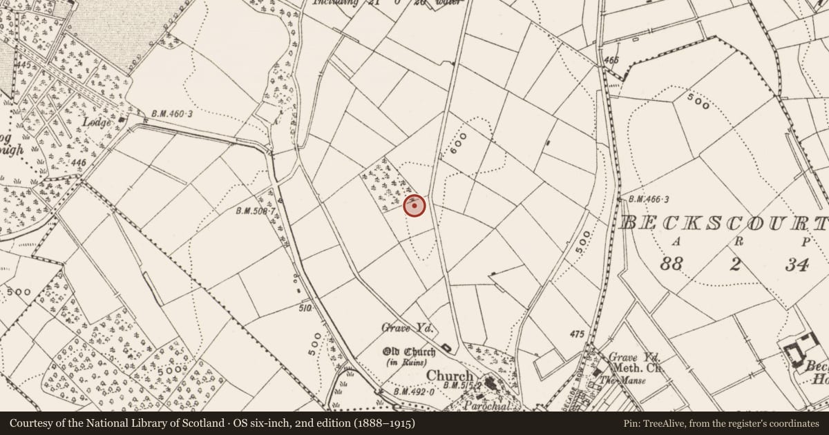 Ordnance Survey six-inch map, 2nd edition (1888–1915) covering the location of Ringfort - rath, Drumbannan, County Cavan, with a pin at the register's coordinates