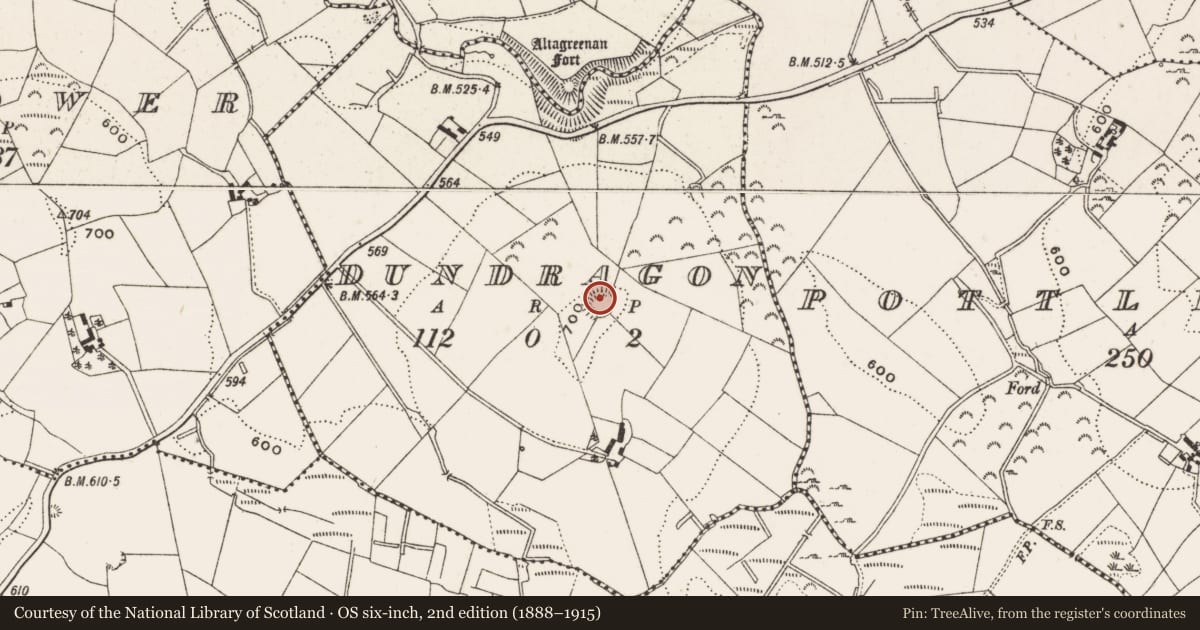 Ordnance Survey six-inch map, 2nd edition (1888–1915) covering the location of Ringfort - rath, Dundragon, County Cavan, with a pin at the register's coordinates