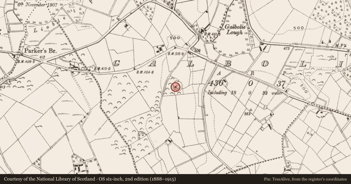 Ordnance Survey six-inch map, 2nd edition (1888–1915) covering the location of Ringfort - rath, Galbolie, County Cavan, with a pin at the register's coordinates