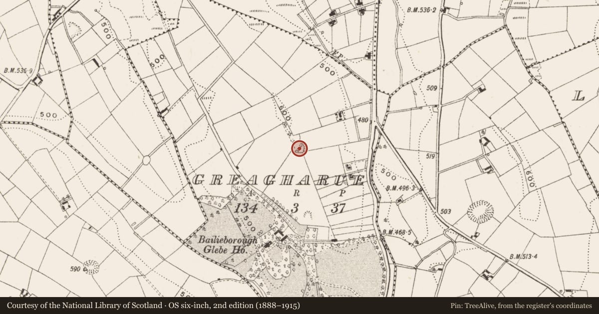 Ordnance Survey six-inch map, 2nd edition (1888–1915) covering the location of Ringfort - rath, Greagharue, County Cavan, with a pin at the register's coordinates