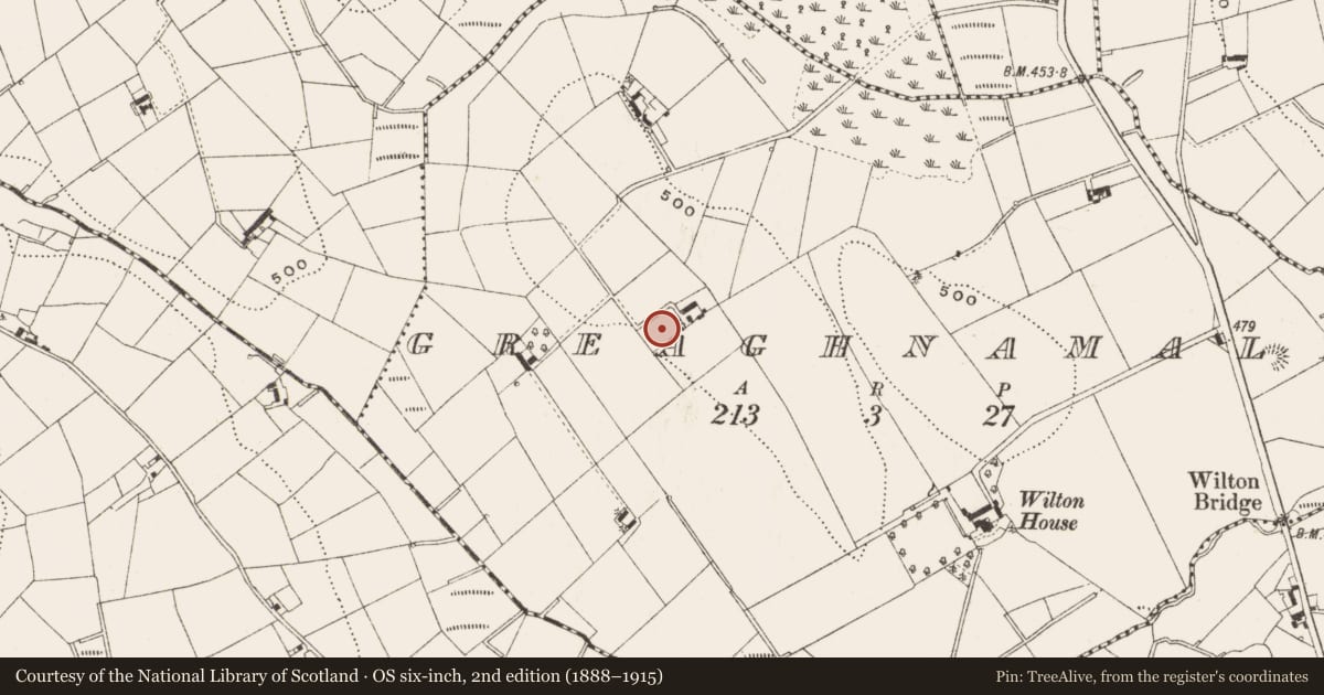 Ordnance Survey six-inch map, 2nd edition (1888–1915) covering the location of Ringfort - rath, Greaghnamale, County Cavan, with a pin at the register's coordinates