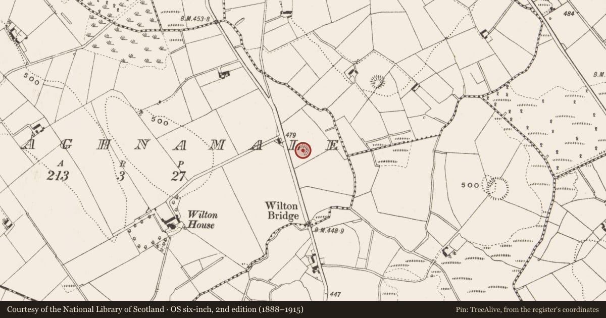 Ordnance Survey six-inch map, 2nd edition (1888–1915) covering the location of Ringfort - rath, Greaghnamale, County Cavan, with a pin at the register's coordinates