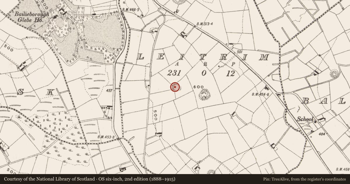 Ordnance Survey six-inch map, 2nd edition (1888–1915) covering the location of Ringfort - rath, Leitrim, County Cavan, with a pin at the register's coordinates