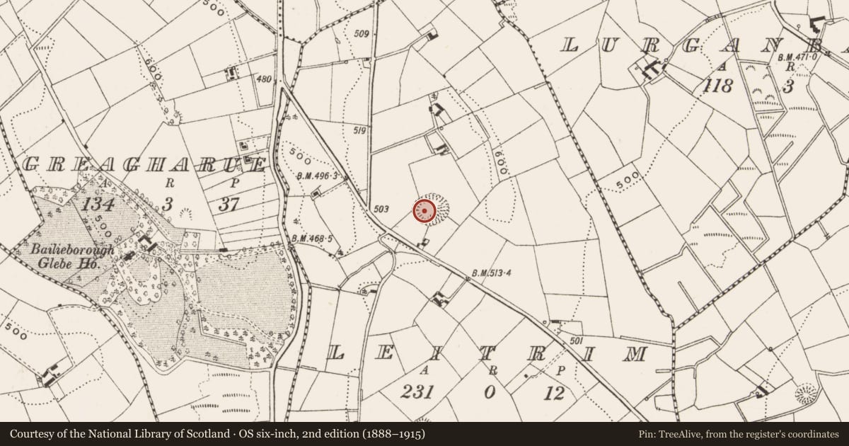 Ordnance Survey six-inch map, 2nd edition (1888–1915) covering the location of Ringfort - rath, Leitrim, County Cavan, with a pin at the register's coordinates