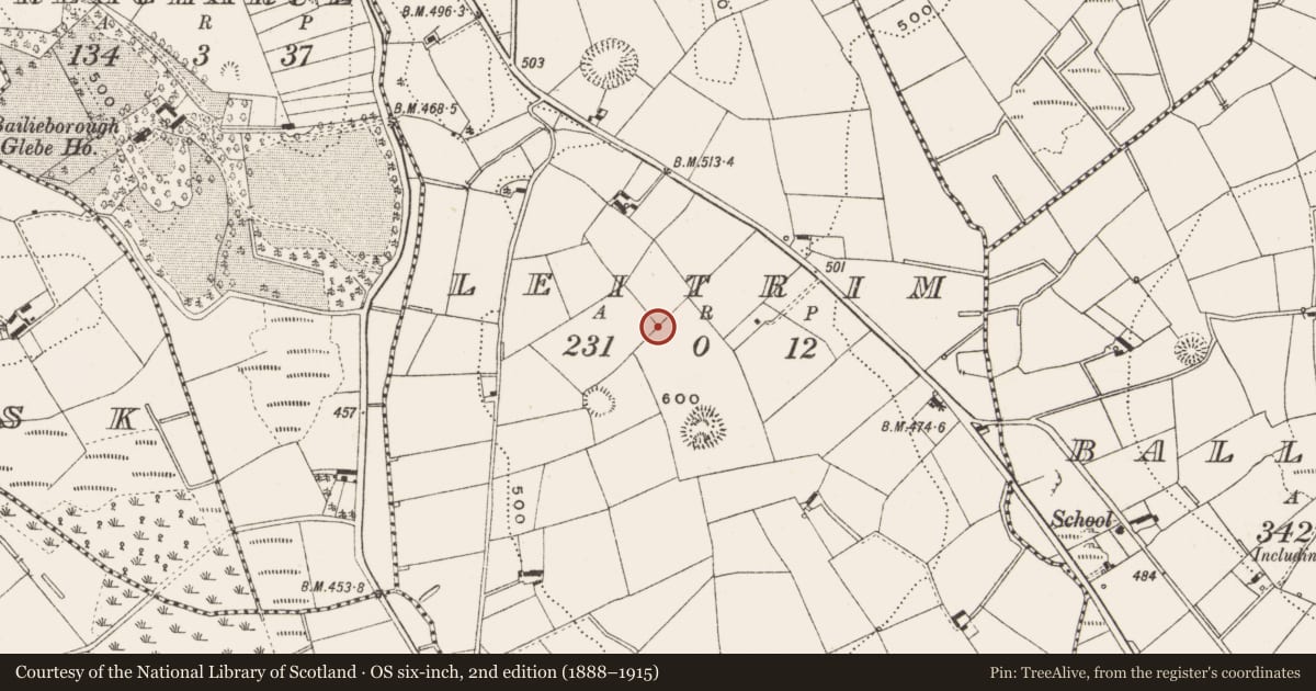 Ordnance Survey six-inch map, 2nd edition (1888–1915) covering the location of Ringfort - rath, Leitrim, County Cavan, with a pin at the register's coordinates