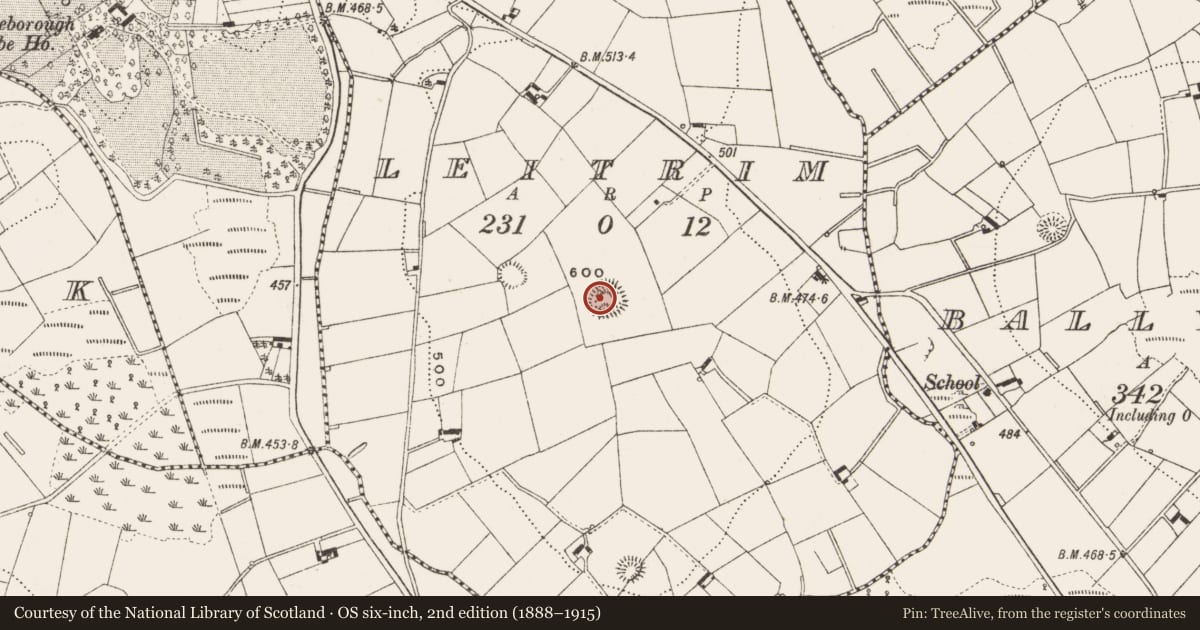 Ordnance Survey six-inch map, 2nd edition (1888–1915) covering the location of Ringfort - rath, Leitrim, County Cavan, with a pin at the register's coordinates