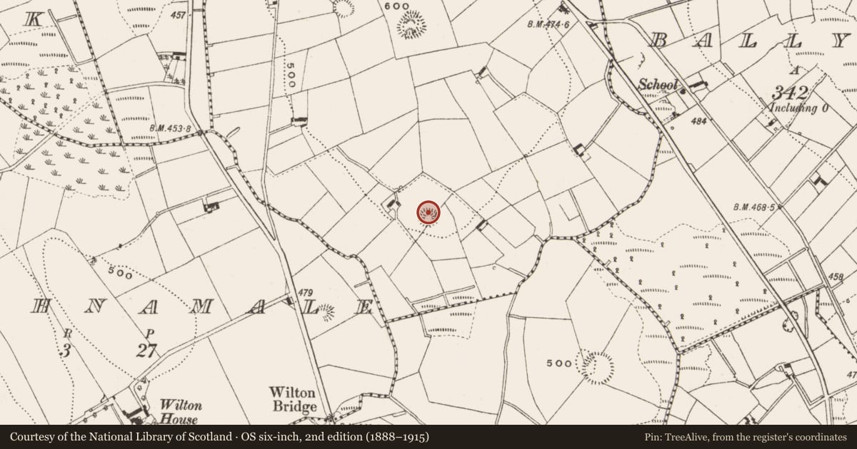 Ordnance Survey six-inch map, 2nd edition (1888–1915) covering the location of Ringfort - rath, Leitrim, County Cavan, with a pin at the register's coordinates
