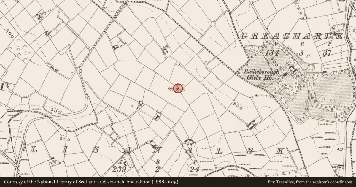 Ordnance Survey six-inch map, 2nd edition (1888–1915) covering the location of Ringfort - rath, Lisanalsk, County Cavan, with a pin at the register's coordinates