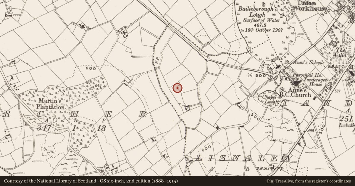 Ordnance Survey six-inch map, 2nd edition (1888–1915) covering the location of Ringfort - rath, Lisnalea, County Cavan, with a pin at the register's coordinates