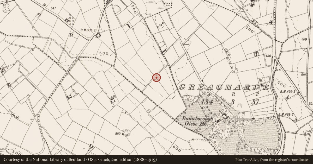 Ordnance Survey six-inch map, 2nd edition (1888–1915) covering the location of Ringfort - rath, Lisnalea, County Cavan, with a pin at the register's coordinates