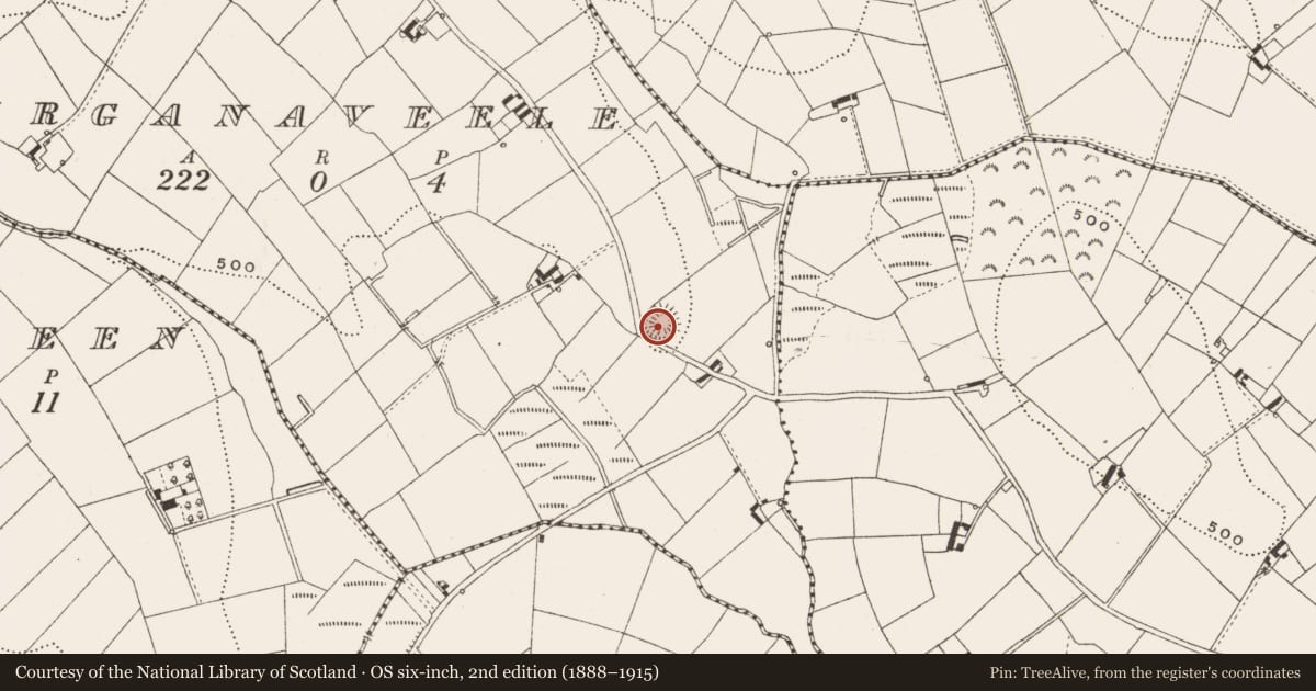 Ordnance Survey six-inch map, 2nd edition (1888–1915) covering the location of Ringfort - rath, Lurganaveele, County Cavan, with a pin at the register's coordinates