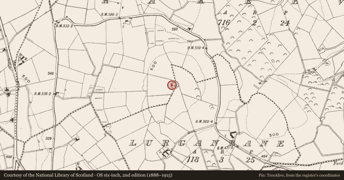Ordnance Survey six-inch map, 2nd edition (1888–1915) covering the location of Souterrain, Lurganbane, Rakeevan, County Cavan, with a pin at the register's coordinates