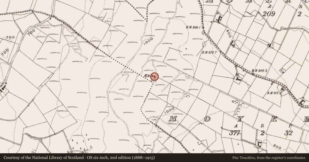 Ordnance Survey six-inch map, 2nd edition (1888–1915) covering the location of Cairn - unclassified, Moyer, County Cavan, with a pin at the register's coordinates