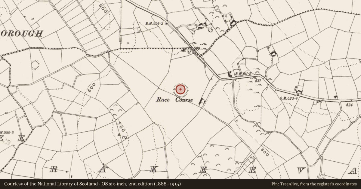 Ordnance Survey six-inch map, 2nd edition (1888–1915) covering the location of Ringfort - rath, Rakeevan, County Cavan, with a pin at the register's coordinates