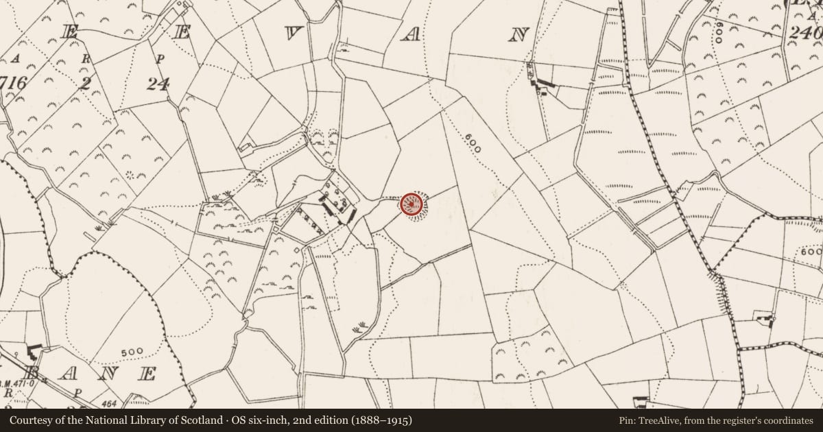 Ordnance Survey six-inch map, 2nd edition (1888–1915) covering the location of Ringfort - rath, Rakeevan, County Cavan, with a pin at the register's coordinates