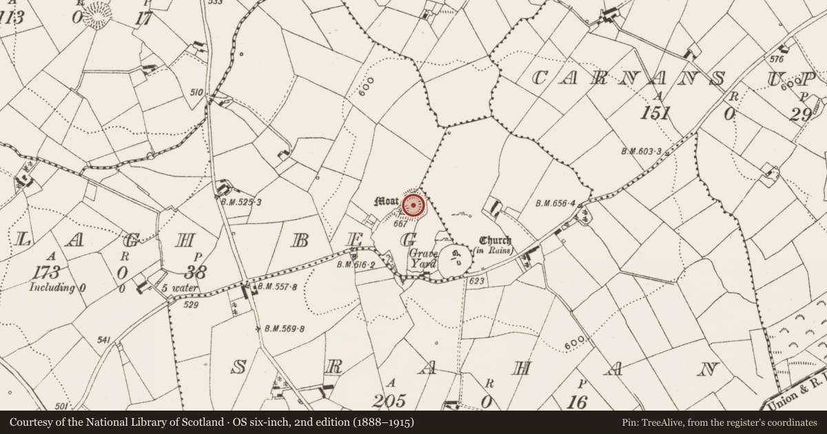 Ordnance Survey six-inch map, 2nd edition (1888–1915) covering the location of Castle - motte and bailey, Relagh Beg, County Cavan, with a pin at the register's coordinates