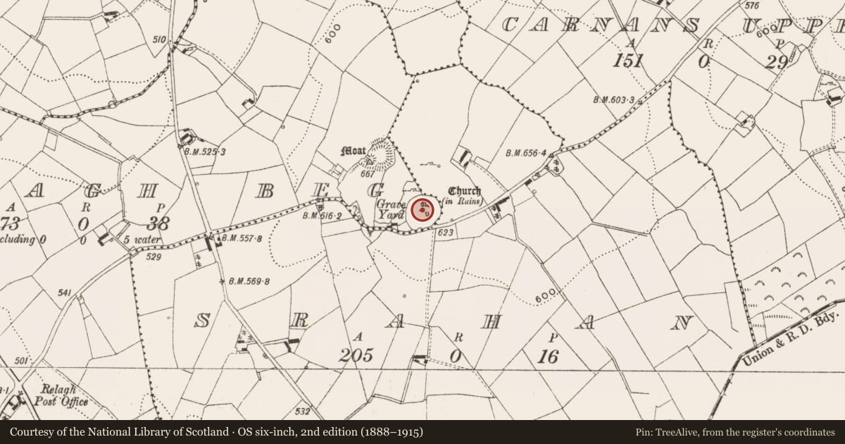 Ordnance Survey six-inch map, 2nd edition (1888–1915) covering the location of Font, Relagh Beg, County Cavan, with a pin at the register's coordinates