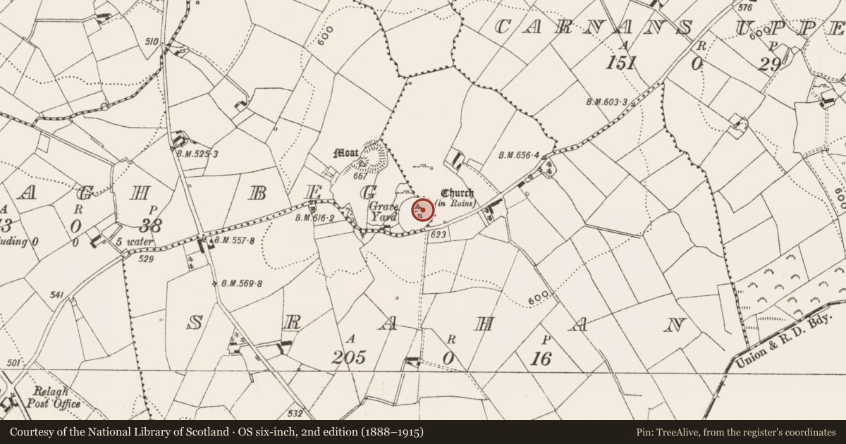 Ordnance Survey six-inch map, 2nd edition (1888–1915) covering the location of Holed stone, Relagh Beg, County Cavan, with a pin at the register's coordinates