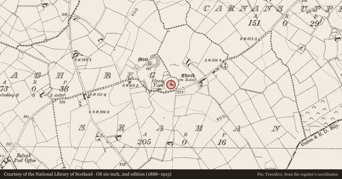Ordnance Survey six-inch map, 2nd edition (1888–1915) covering the location of Graveyard, Relagh Beg, County Cavan, with a pin at the register's coordinates