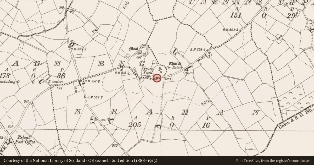 Ordnance Survey six-inch map, 2nd edition (1888–1915) covering the location of Cross-slab, Relagh Beg, County Cavan, with a pin at the register's coordinates