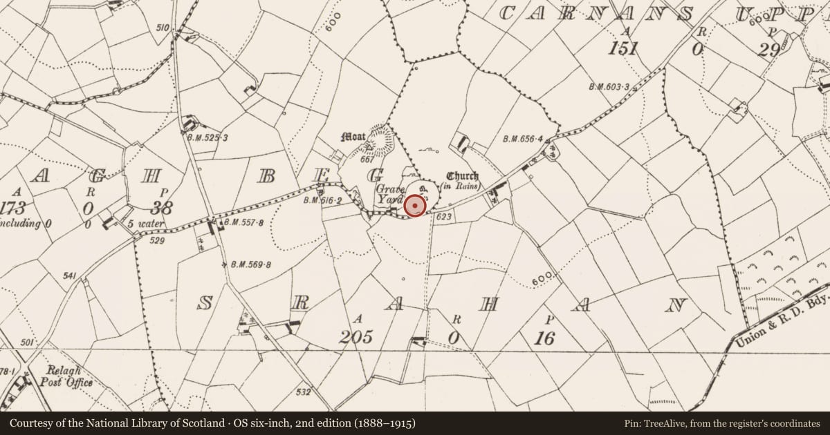Ordnance Survey six-inch map, 2nd edition (1888–1915) covering the location of Graveslab, Relagh Beg, County Cavan, with a pin at the register's coordinates