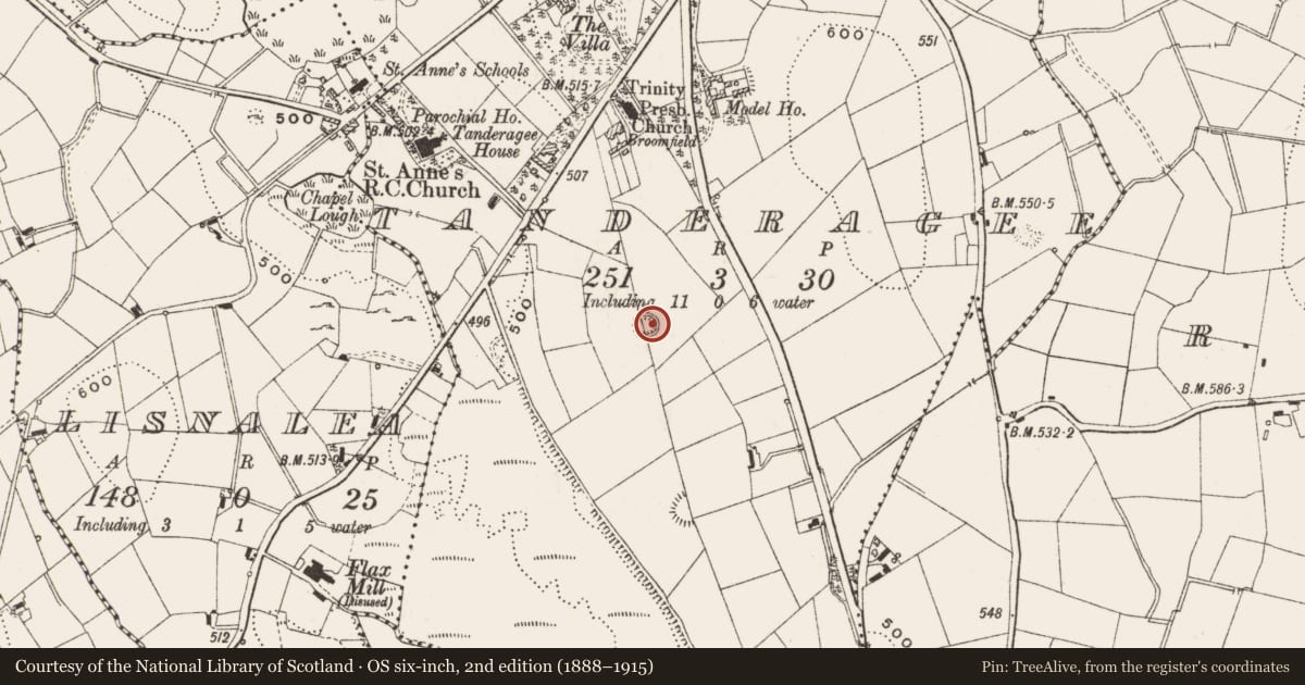 Ordnance Survey six-inch map, 2nd edition (1888–1915) covering the location of Castle - motte, Tanderagee, County Cavan, with a pin at the register's coordinates