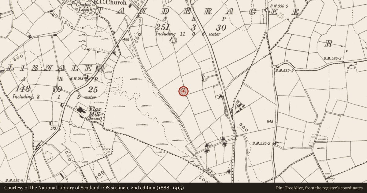 Ordnance Survey six-inch map, 2nd edition (1888–1915) covering the location of Ringfort - rath, Tanderagee, County Cavan, with a pin at the register's coordinates