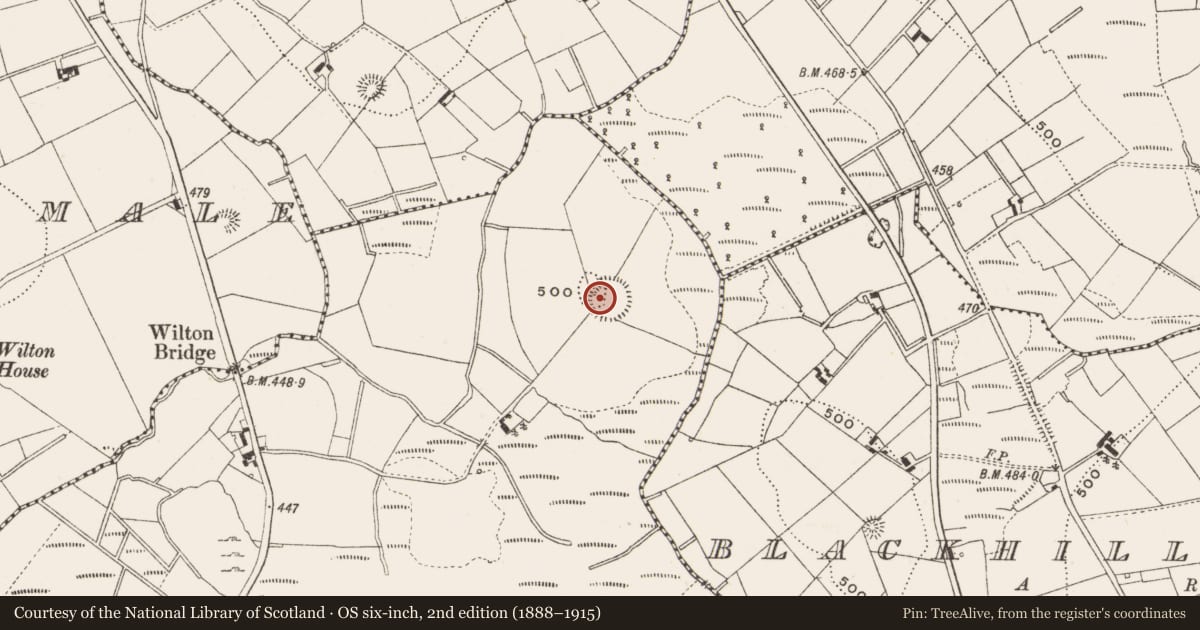 Ordnance Survey six-inch map, 2nd edition (1888–1915) covering the location of Ringfort - rath, Tullynaskeagh, County Cavan, with a pin at the register's coordinates