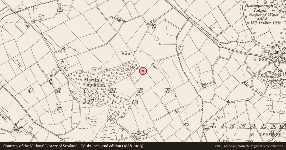 Ordnance Survey six-inch map, 2nd edition (1888–1915) covering the location of Ringfort - rath, Urcher, County Cavan, with a pin at the register's coordinates