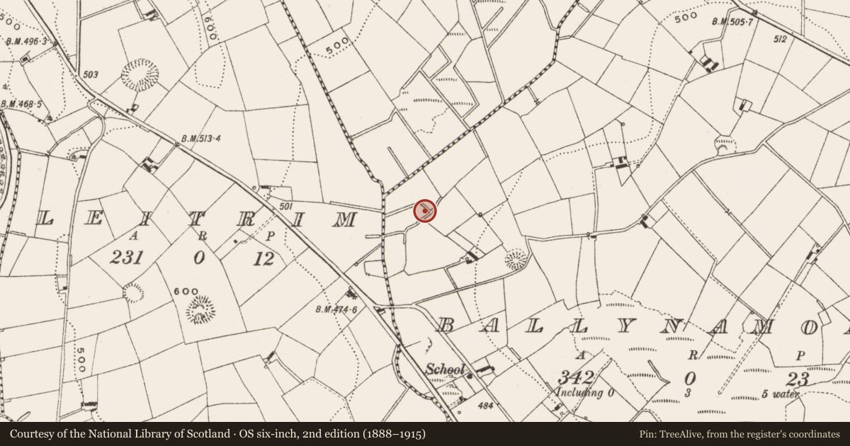 Ordnance Survey six-inch map, 2nd edition (1888–1915) covering the location of Fulacht fia, Ballynamona, County Cavan, with a pin at the register's coordinates