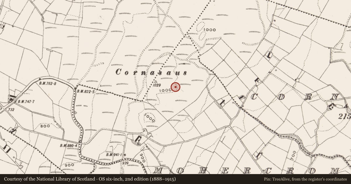 Ordnance Survey six-inch map, 2nd edition (1888–1915) covering the location of Cairn - unclassified, Mohercrom, County Cavan, with a pin at the register's coordinates