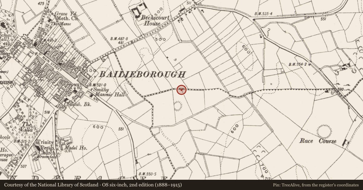 Ordnance Survey six-inch map, 2nd edition (1888–1915) covering the location of Burnt mound, Rakeevan, County Cavan, with a pin at the register's coordinates