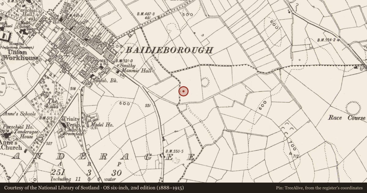 Ordnance Survey six-inch map, 2nd edition (1888–1915) covering the location of Burnt mound, Rakeevan, County Cavan, with a pin at the register's coordinates