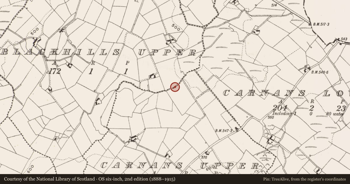 Ordnance Survey six-inch map, 2nd edition (1888–1915) covering the location of Road - road/trackway, Carnans Upper, County Cavan, with a pin at the register's coordinates