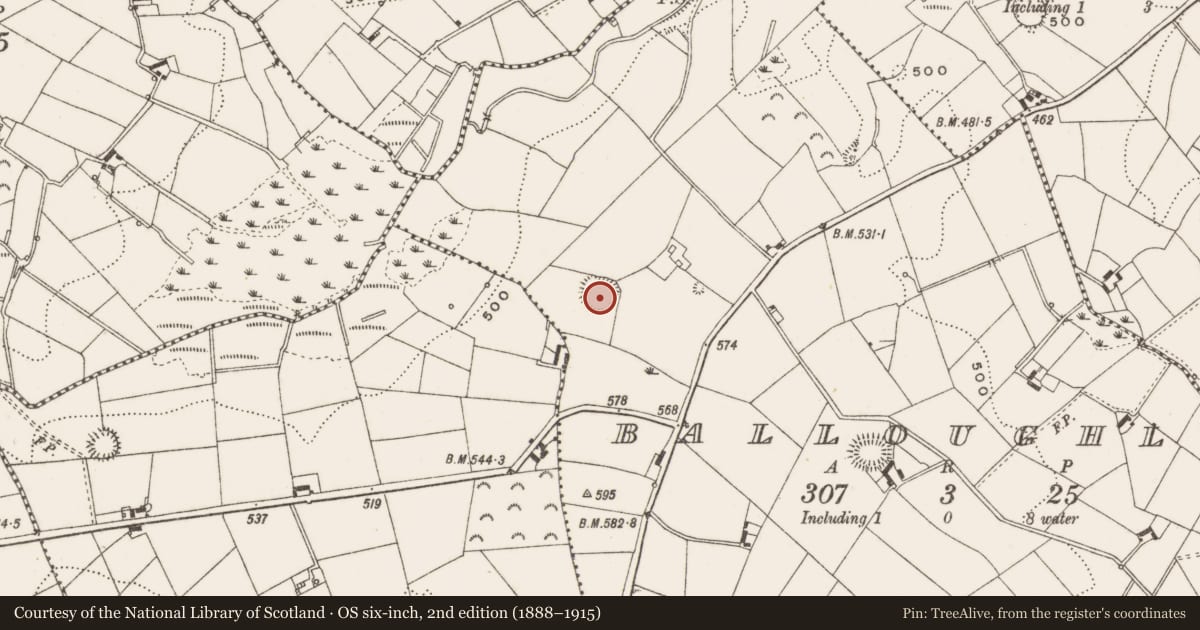 Ordnance Survey six-inch map, 2nd edition (1888–1915) covering the location of Ringfort - rath, Balloughly, County Cavan, with a pin at the register's coordinates