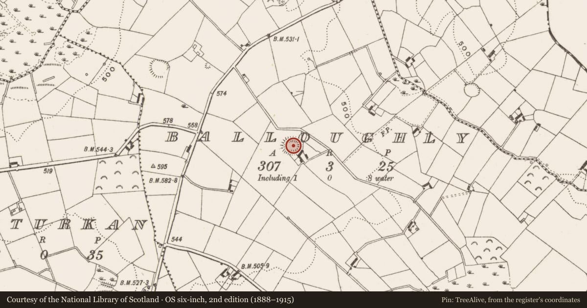 Ordnance Survey six-inch map, 2nd edition (1888–1915) covering the location of Ringfort - rath, Balloughly, County Cavan, with a pin at the register's coordinates