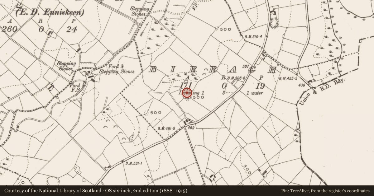 Ordnance Survey six-inch map, 2nd edition (1888–1915) covering the location of Ringfort - rath, Birragh, County Cavan, with a pin at the register's coordinates