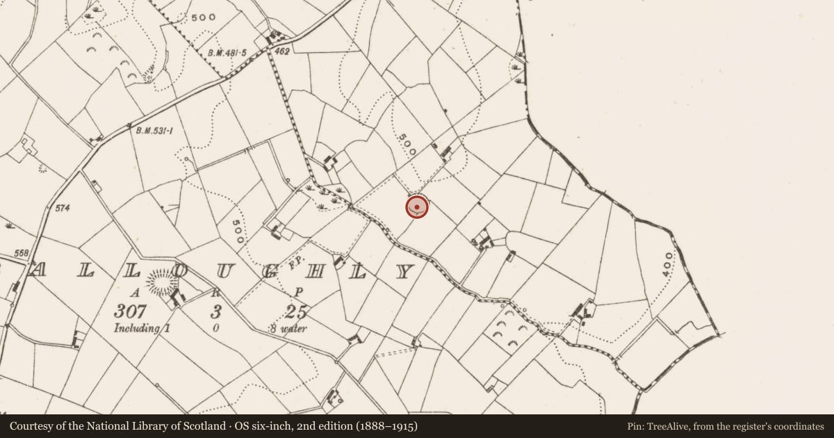 Ordnance Survey six-inch map, 2nd edition (1888–1915) covering the location of Ringfort - rath, Birragh, County Cavan, with a pin at the register's coordinates