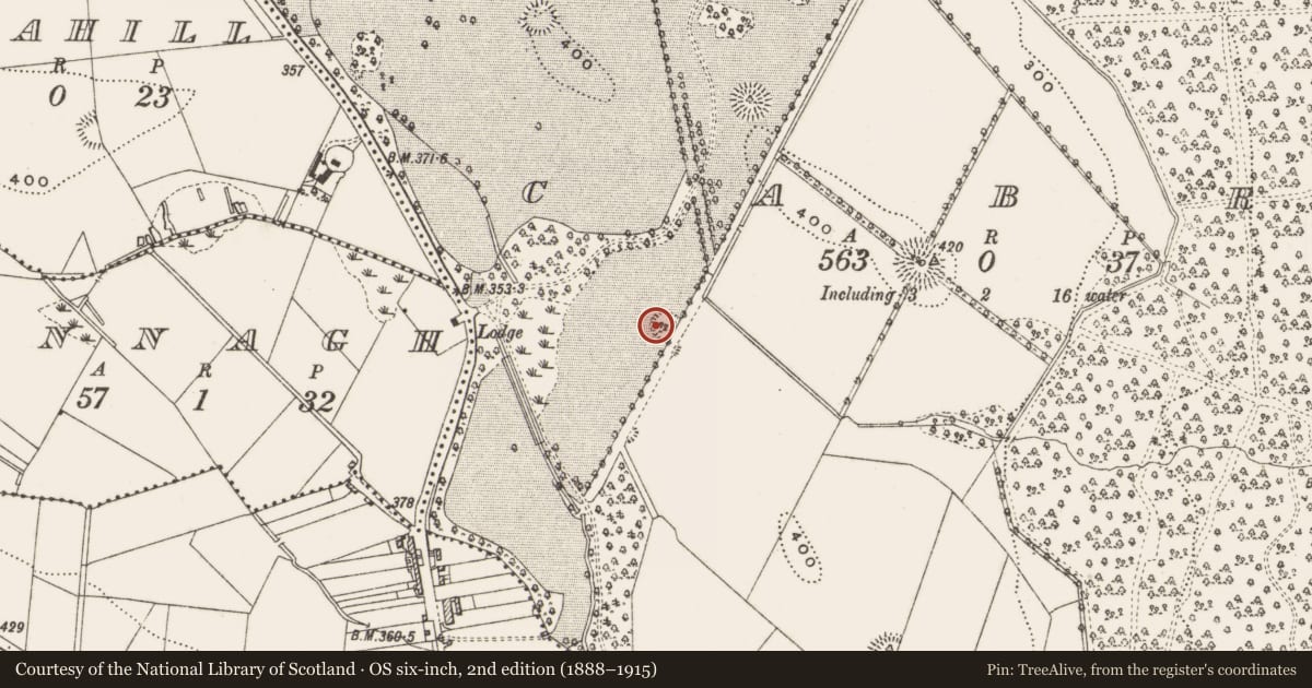 Ordnance Survey six-inch map, 2nd edition (1888–1915) covering the location of Ringfort - rath, Cabra, County Cavan, with a pin at the register's coordinates