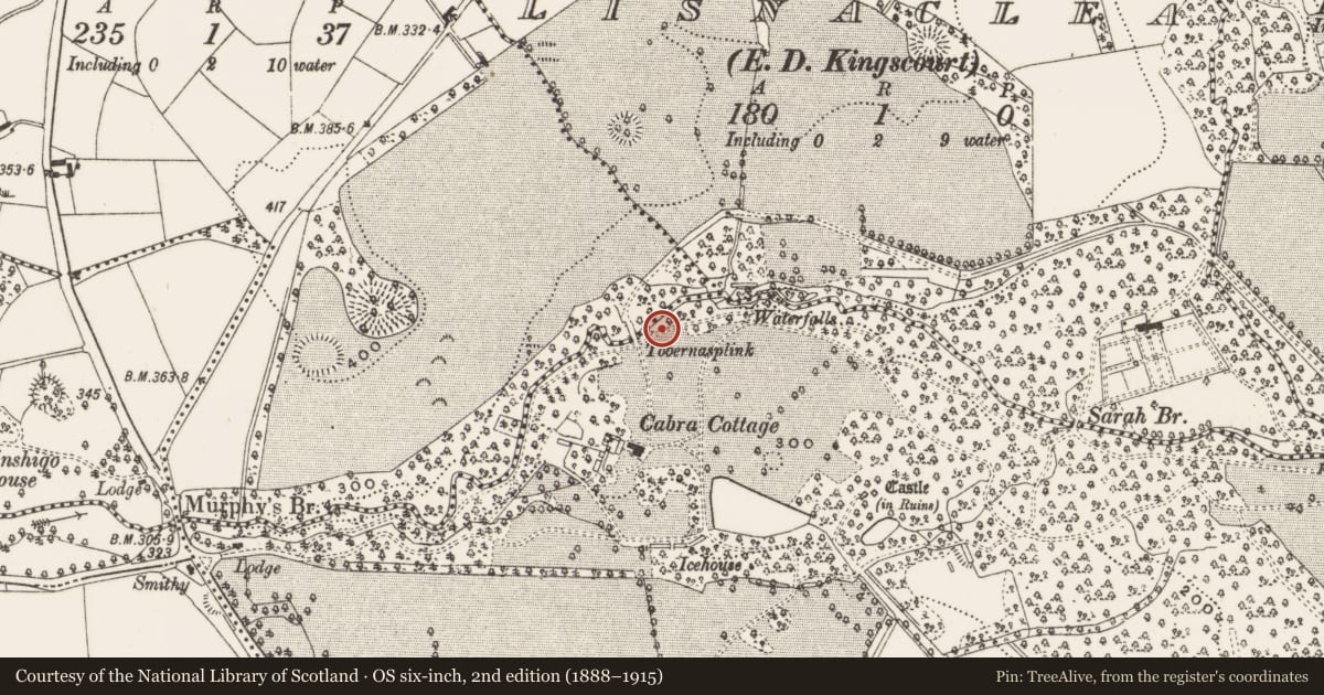 Ordnance Survey six-inch map, 2nd edition (1888–1915) covering the location of Well, Cabra, County Cavan, with a pin at the register's coordinates