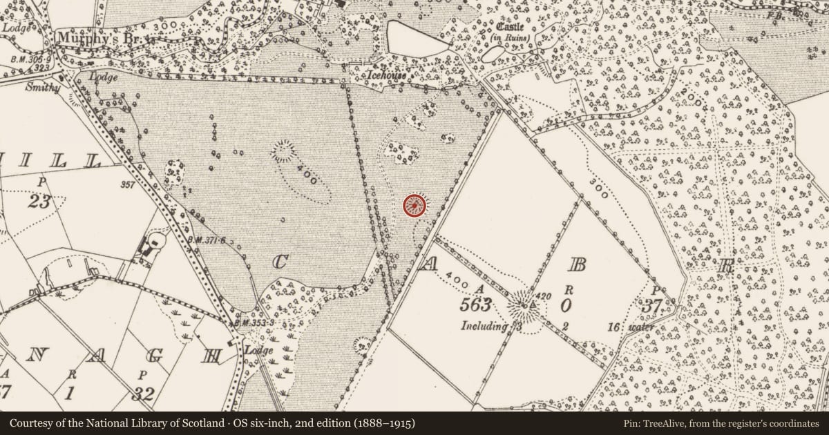 Ordnance Survey six-inch map, 2nd edition (1888–1915) covering the location of Ringfort - rath, Cabra, County Cavan, with a pin at the register's coordinates