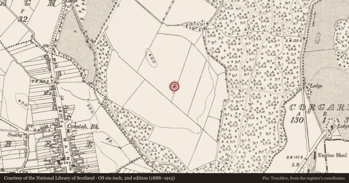 Ordnance Survey six-inch map, 2nd edition (1888–1915) covering the location of Ringfort - rath, Cabra, County Cavan, with a pin at the register's coordinates